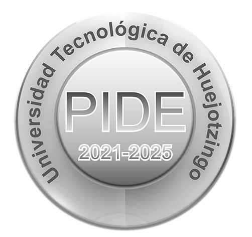 Programa Institucional 2021-2025